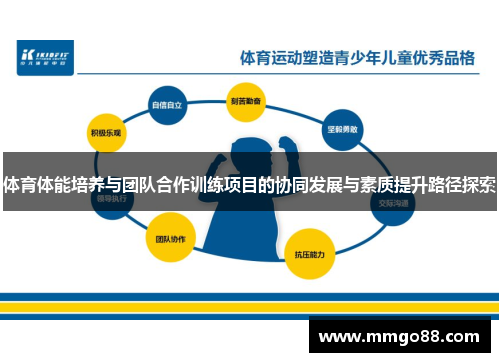 体育体能培养与团队合作训练项目的协同发展与素质提升路径探索